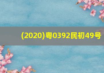 (2020)粤0392民初49号