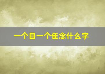 一个目一个隹念什么字