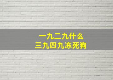 一九二九什么三九四九冻死狗