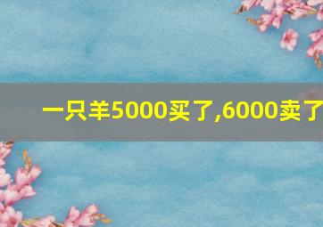 一只羊5000买了,6000卖了