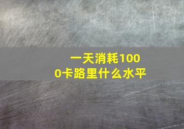 一天消耗1000卡路里什么水平