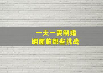 一夫一妻制婚姻面临哪些挑战