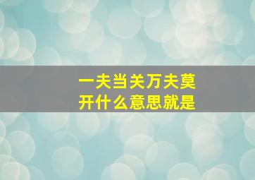 一夫当关万夫莫开什么意思就是