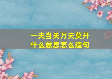 一夫当关万夫莫开什么意思怎么造句