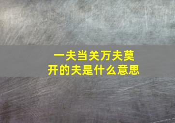 一夫当关万夫莫开的夫是什么意思