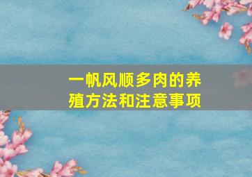 一帆风顺多肉的养殖方法和注意事项