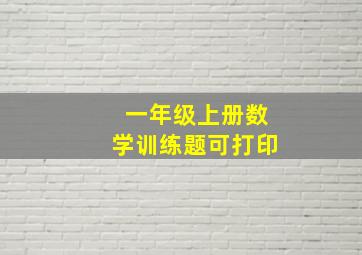 一年级上册数学训练题可打印