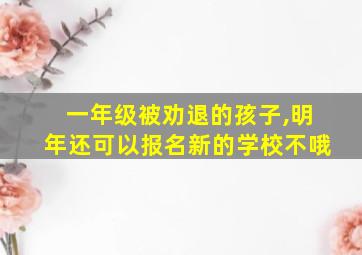 一年级被劝退的孩子,明年还可以报名新的学校不哦