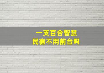 一支百合智慧民宿不用前台吗