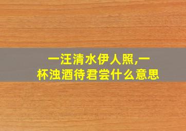 一汪清水伊人照,一杯浊酒待君尝什么意思