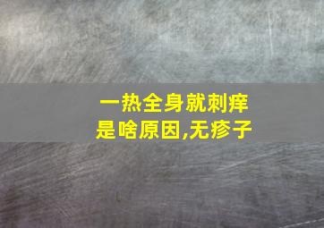 一热全身就刺痒是啥原因,无疹子