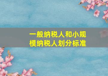 一般纳税人和小规模纳税人划分标准