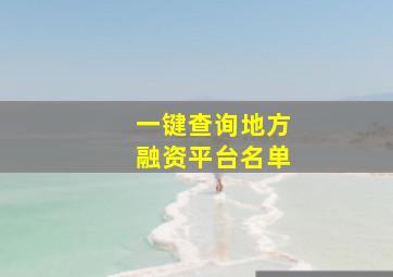 一键查询地方融资平台名单