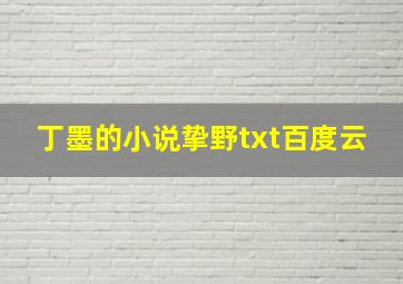 丁墨的小说挚野txt百度云