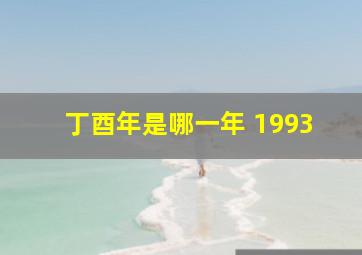 丁酉年是哪一年 1993