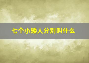 七个小矮人分别叫什么