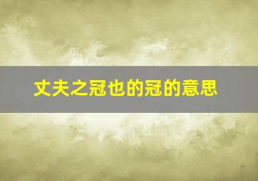 丈夫之冠也的冠的意思