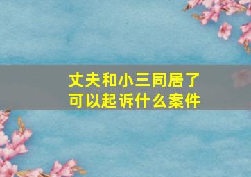 丈夫和小三同居了可以起诉什么案件