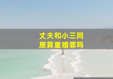 丈夫和小三同居算重婚罪吗