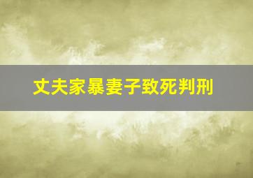 丈夫家暴妻子致死判刑