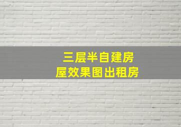 三层半自建房屋效果图出租房