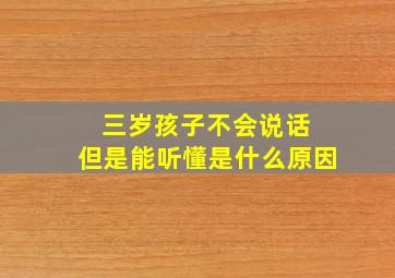 三岁孩子不会说话 但是能听懂是什么原因