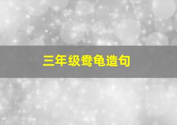 三年级鸯龟造句