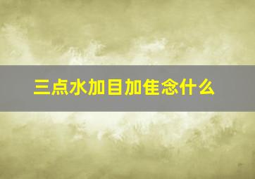 三点水加目加隹念什么