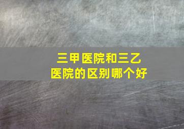 三甲医院和三乙医院的区别哪个好