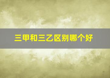 三甲和三乙区别哪个好