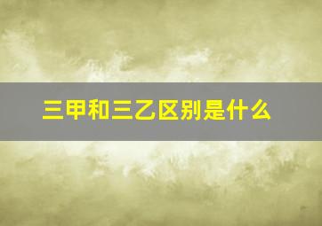 三甲和三乙区别是什么