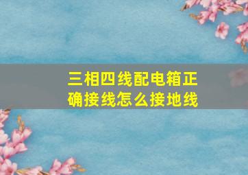 三相四线配电箱正确接线怎么接地线