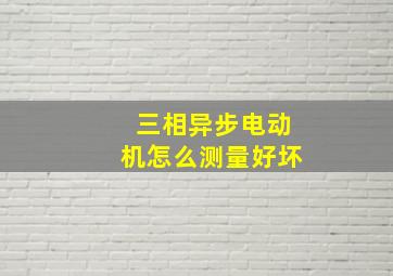 三相异步电动机怎么测量好坏