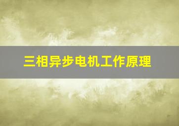 三相异步电机工作原理