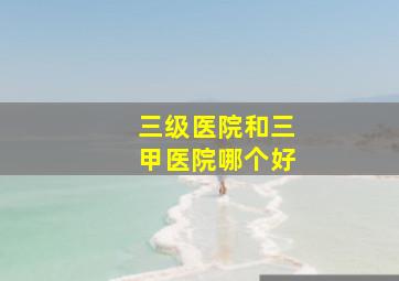 三级医院和三甲医院哪个好