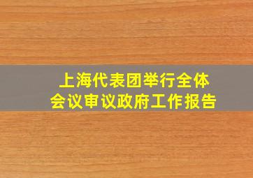 上海代表团举行全体会议审议政府工作报告