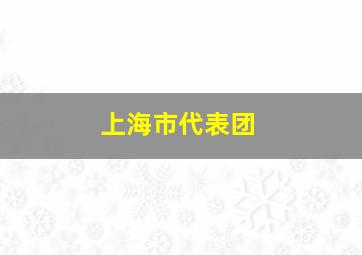 上海市代表团