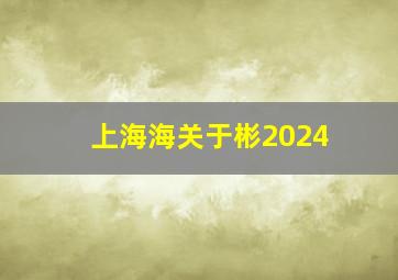 上海海关于彬2024