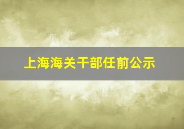 上海海关干部任前公示