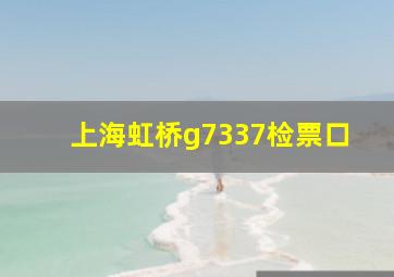 上海虹桥g7337检票口