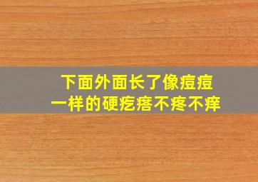 下面外面长了像痘痘一样的硬疙瘩不疼不痒