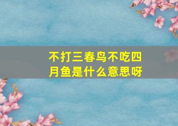 不打三春鸟不吃四月鱼是什么意思呀