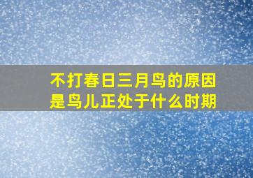 不打春日三月鸟的原因是鸟儿正处于什么时期