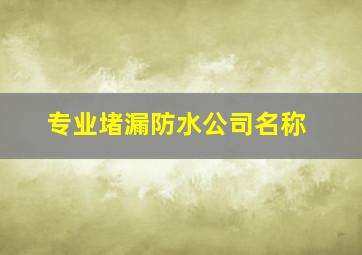 专业堵漏防水公司名称