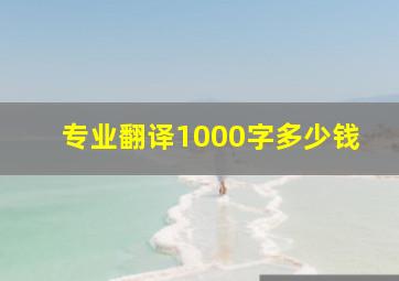 专业翻译1000字多少钱