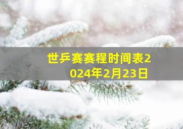 世乒赛赛程时间表2024年2月23日