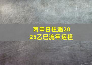 丙申日柱遇2025乙巳流年运程