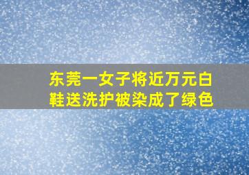 东莞一女子将近万元白鞋送洗护被染成了绿色