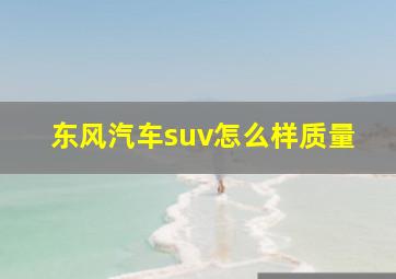 东风汽车suv怎么样质量