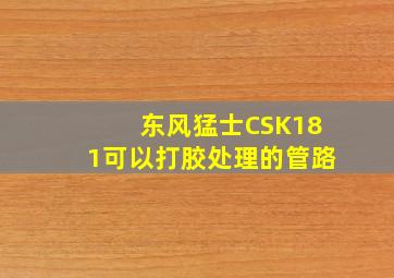 东风猛士CSK181可以打胶处理的管路